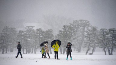 Japonia: śnieg nadal paraliżuje Tokio i okolice