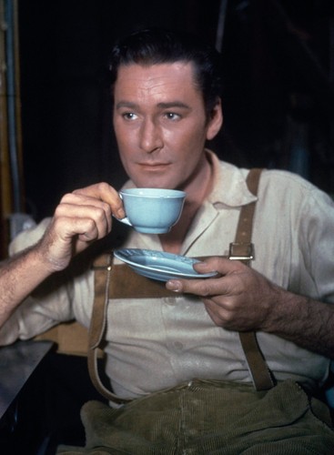 Errol Flynn