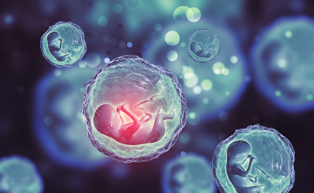 Z syntetycznymi zarodkami może być jak z klonowaniem – za dużo sobie obiecywaliśmy
