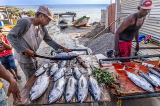 Polacy za granicą: w tym kraju mieszka ich tylko dwoje. Zamiast polskiej zimy mają palmy i 30 stopni
