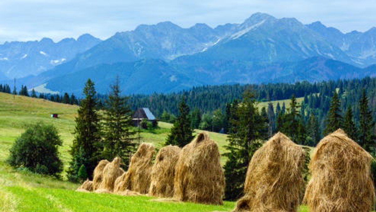 Do 17 sierpnia potrwa pilotażowa akcja dobrowolnego ubezpieczenia dla turystów udających się w Tatry. Jednorazowe ubezpieczenie można wykupić podczas zakupu biletu wstępu do Tatrzańskiego Parku Narodowego (TPN) ma ono obejmować także słowackie Tatry.