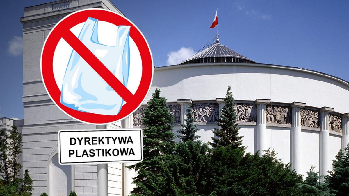 Sejm plastik