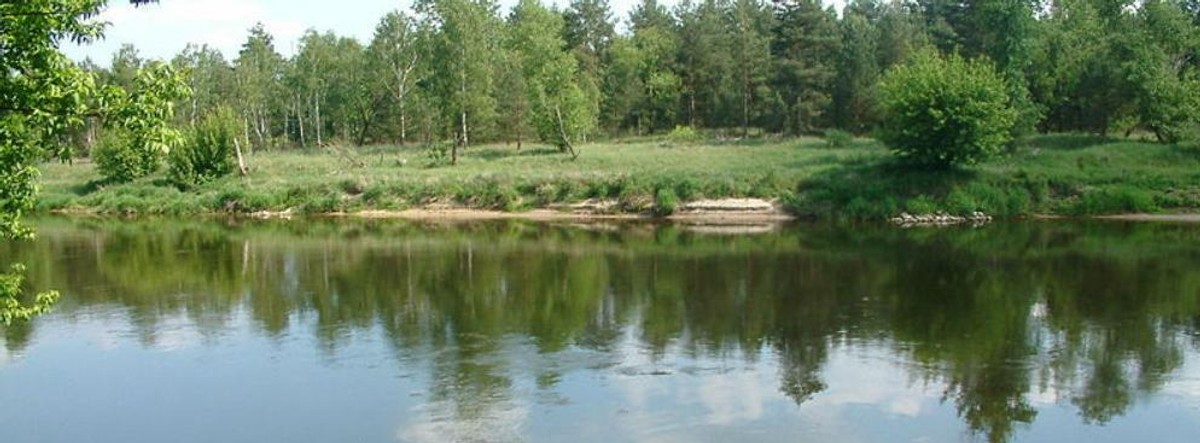 Wielkopolski Park Narodowy Wielkopolski Park Narodowy to zielone płuca Poznania, które rozciągają się od jego południowych krańców. Lasy w tej okolicy uzyskały miano parku narodowego w 1957 roku. Park mieści się między trzema miasteczkami: Stęszewem, Luboniem i Mosiną. W pobliskim Puszczykowie znajduje się muzeum Arkadego Fiedlera, słynnego podróżnika. W sercu parku znajduje się pałac w Jeziorach, dawna siedziba namiestnika hitlerowskiego Kraju Warty, Arthura Greisera (droga do pałacu zbudowana z betonowych płyt w czasie wojny do dziś jest przez miejscowych nazywana grajzerówką). W pałacu można zobaczyć zbiory przyrodnicze. fot. by Radomil / Wikimedia Commons
