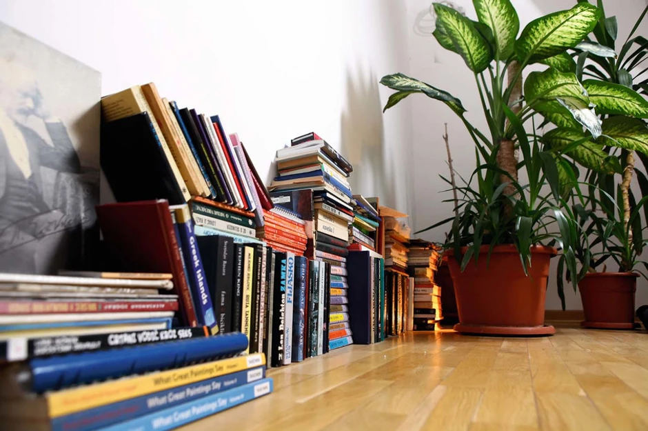 Različita literatura