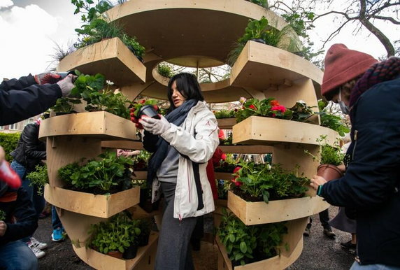 Gdańsk: ustawili ogród w kształcie kuli. W środku rosną owoce i kwiaty