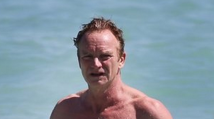 Sting 65 évesen is bomba formában van/ Fotó: Profimédia