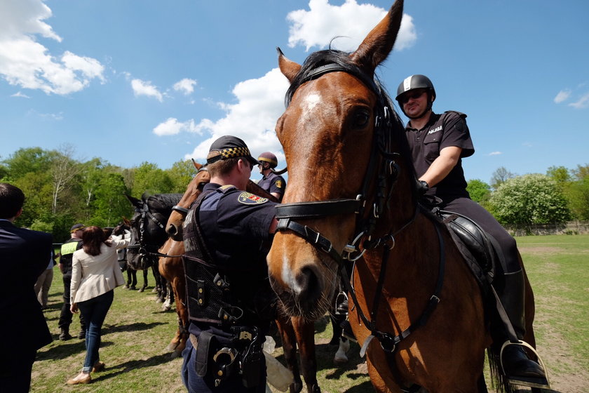 Policja i straż miejska z Łodzi zorganizowały wspólne ćwiczenia dla koni