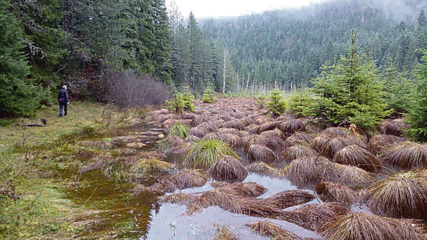 Kad je sunčano vreme, jezera se pune vodom
