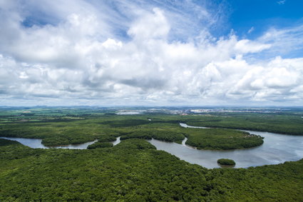 Amazonia emituje coraz więcej gazów cieplarnianych. Spełnia się czarny scenariusz