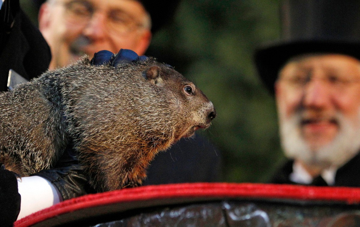 Punxsutawney Phil