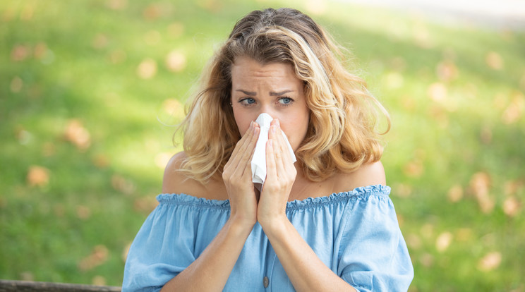 Az allergia a szervezet immunválasza, túlzott reakciója egy, egyébként ártalmatlan anyagra / Fotó: Shutterstock