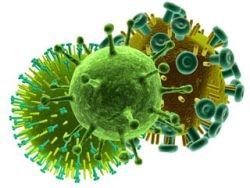hpv-nagy-d000002C1189033859ed5