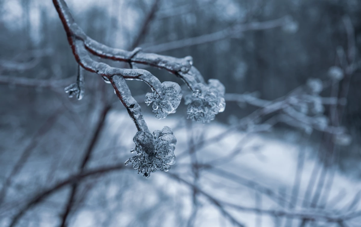  Śnieg, silny wiatr i burze. Ponura prognoza IMGW na najbliższe dni