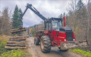 Spory o leśną rewolucję