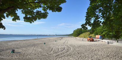 Plaża w Orłowie wysprzątana na błysk. Jest czysto, postawiono dodatkowe kosze na śmieci. To wszystko po interwencji Faktu!