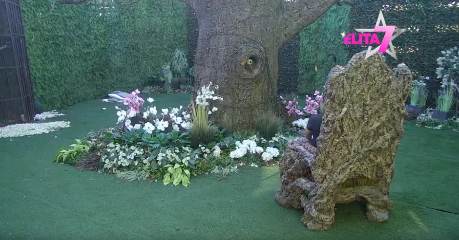 Nenad Macanović Bebica priča sa drvetom mudrosti