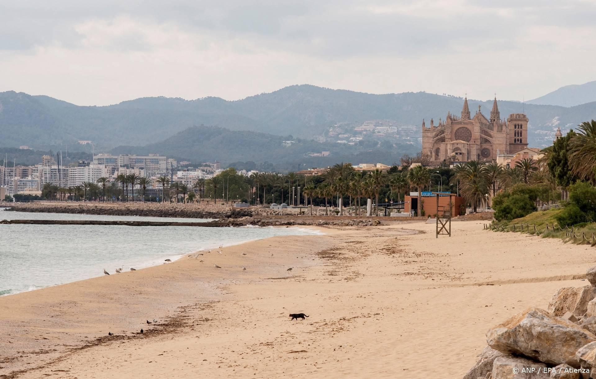Nederlander (53) sterft bij een frontale botsing op Mallorca
