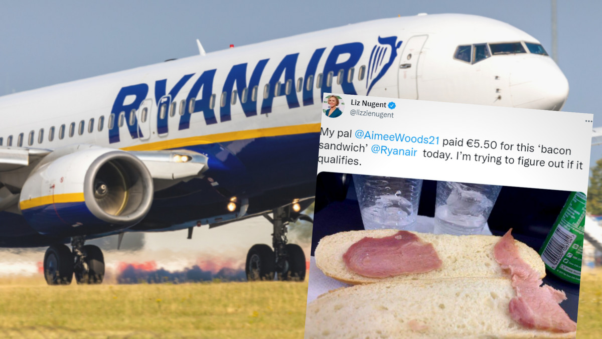 Ryanair zaserwował "najsmutniejszą kanapkę świata"? Posiłek jest hitem sieci