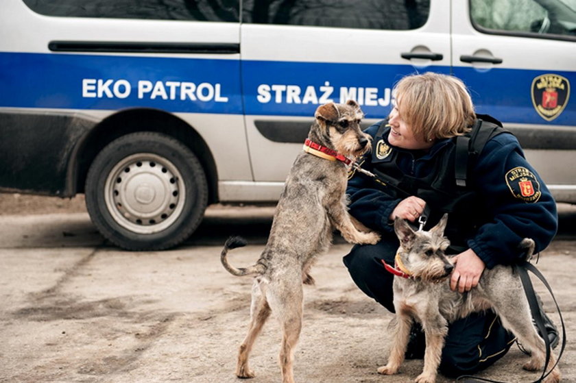 Takie zwierzątka znaleźli strażnicy!