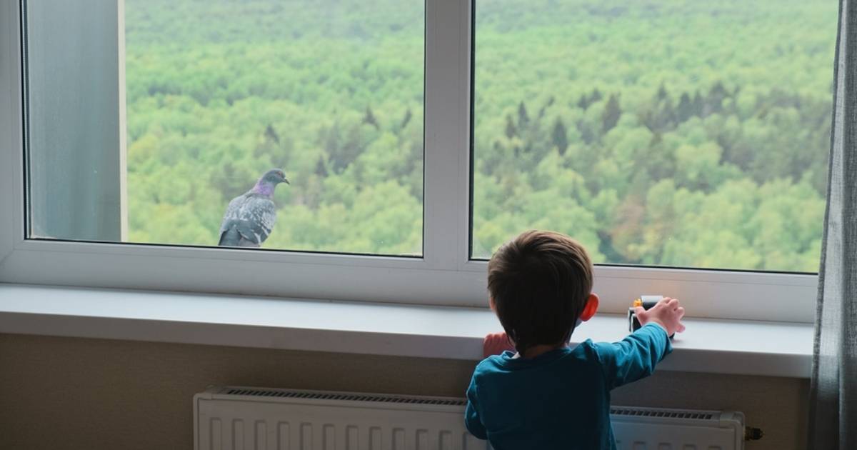 "Przyjęliśmy rodzinę pod dach. Po roku wiedziałam, iż to był błąd" [LIST]