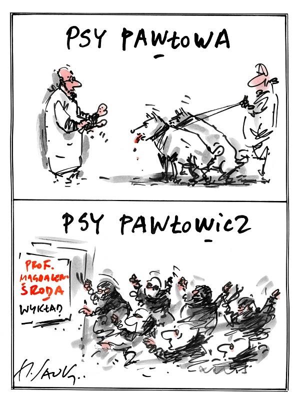 sawka psy pawłowa pion