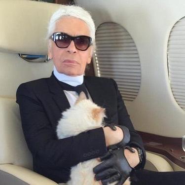 Fashion designer Karl Lagerfeld 's Cat  