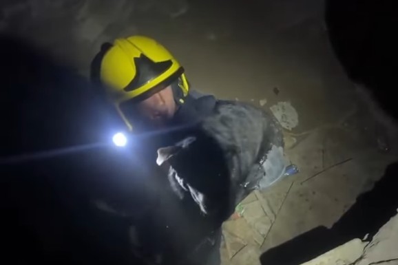 (VIDEO) Vatrogasci su uskočili u dubine katakombi Petrovaradinske tvrđave zbog NJEGA! Pogledajte prizor koji je raznežio Novosađane