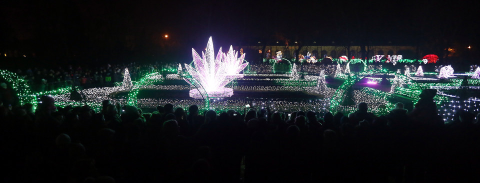 II Królewski Festiwal Światła