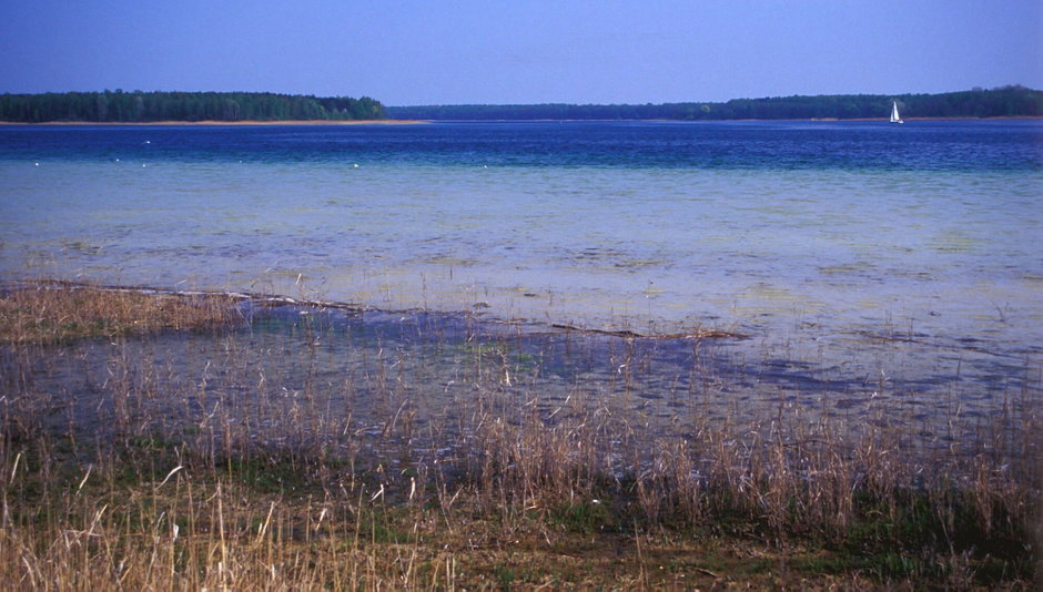 Jezioro Powidzkie