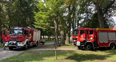 Wybrali się na spacer do parku. Zobaczyli coś strasznego w fosie. Natychmiast odgrodzono teren