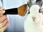 7 unexpected animals used in skincare products