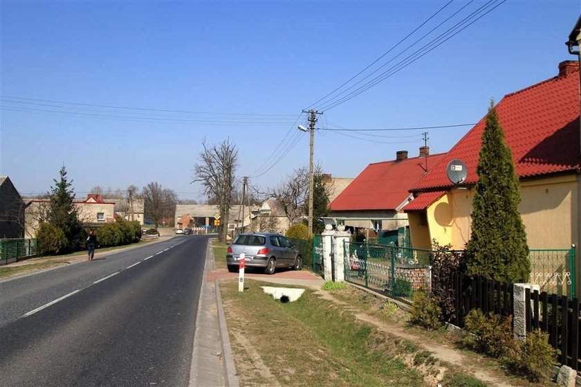 Cud! Na dziecko spadł tir ze świniami i... przeżyło!