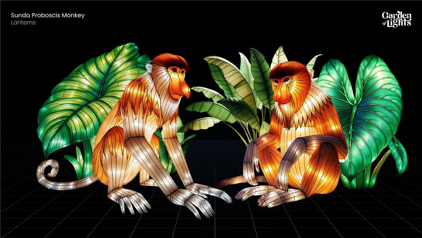 Nosacze - też będą w zoo