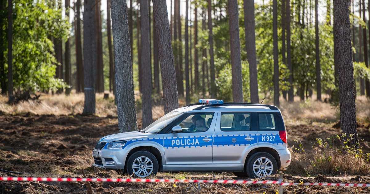 Zaskakujące znalezisko w lesie. Grzybiarz natychmiast powiadomił policję