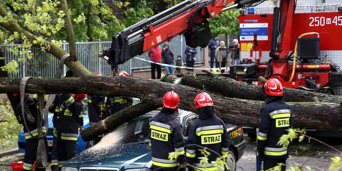 WARSZAWA, DRZEWO, PRZYGNIOTŁO TRZY SAMOCHODY