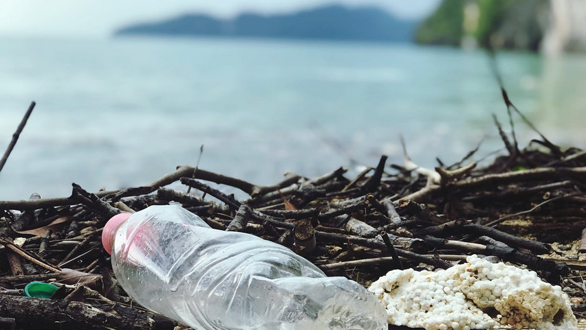 Szemétszedő akciót tartottak a Szőnyi-szigeteknél: egy 16 éve feladott palackpostát is találtak