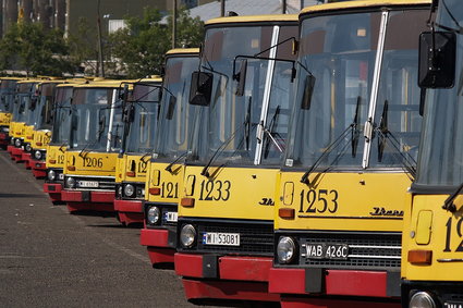 Ikarus chce odbudować pozycję na rynku autobusów. Szykuje nowy model
