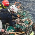 Wśród śmieci w oceanach żyją bezkręgowce. Wiele z nich to gatunki przybrzeżne