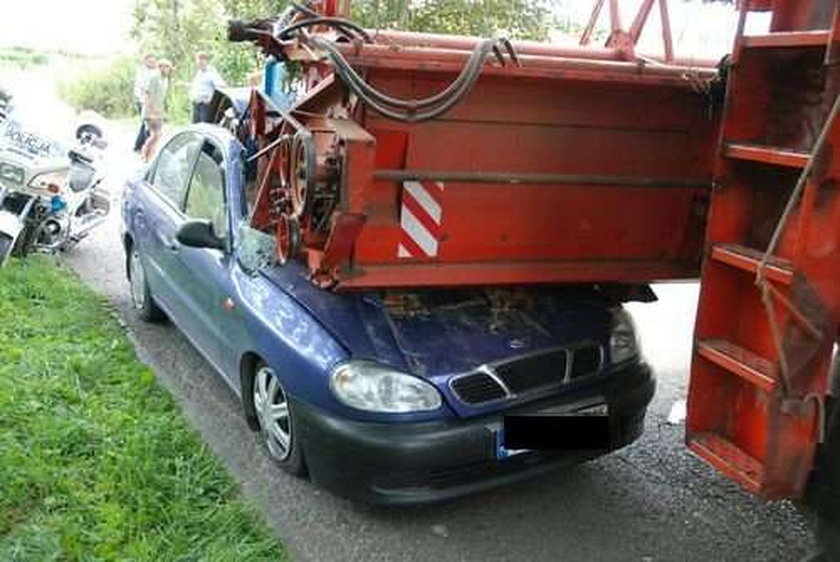 To cud! Staranował go kombajn i żyje! FOTO!