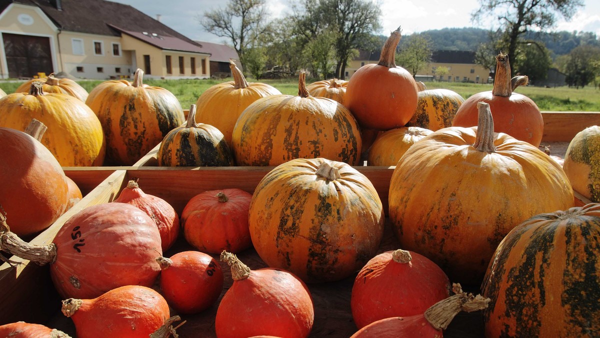 Austria szykuje się na Halloween