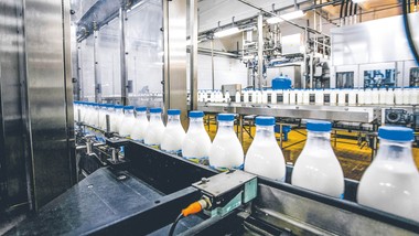 zwolniono wszystkich. upadek legendarnej mleczarni