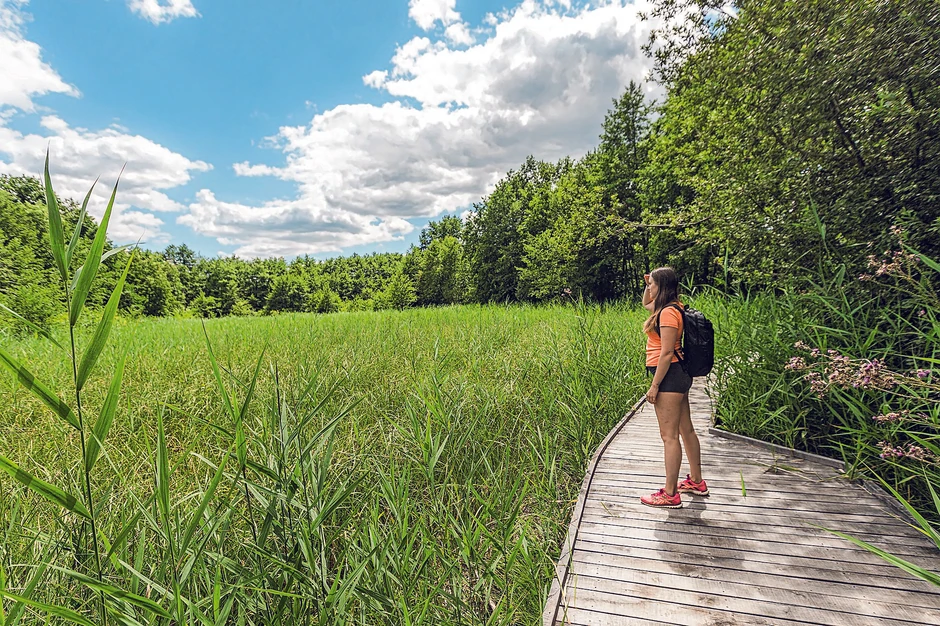 Krajinski park Lahinja