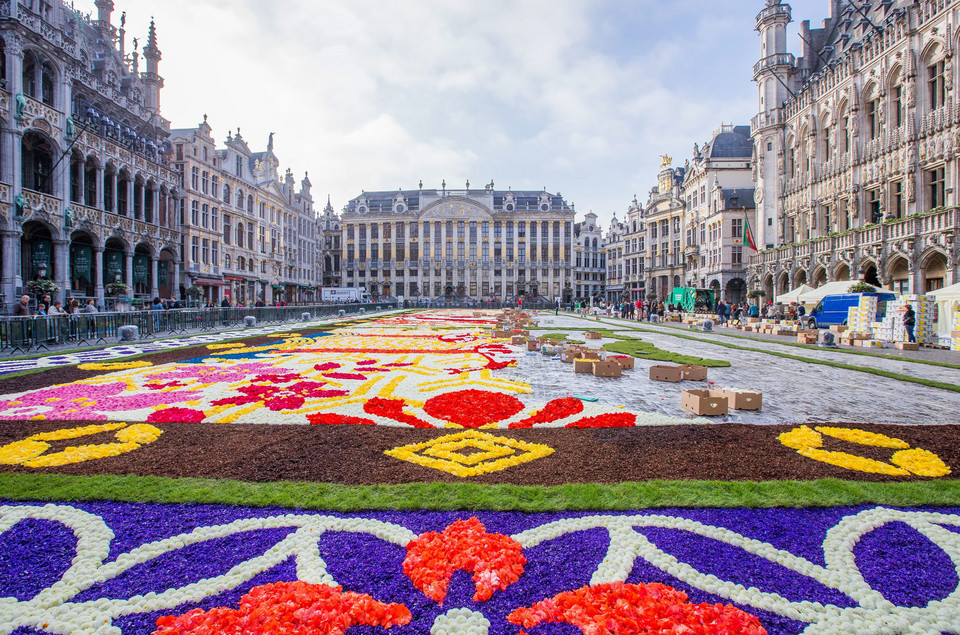 BELGIUM FLOWER CARPET (20th edition of the Flower Carpet in Brussels)