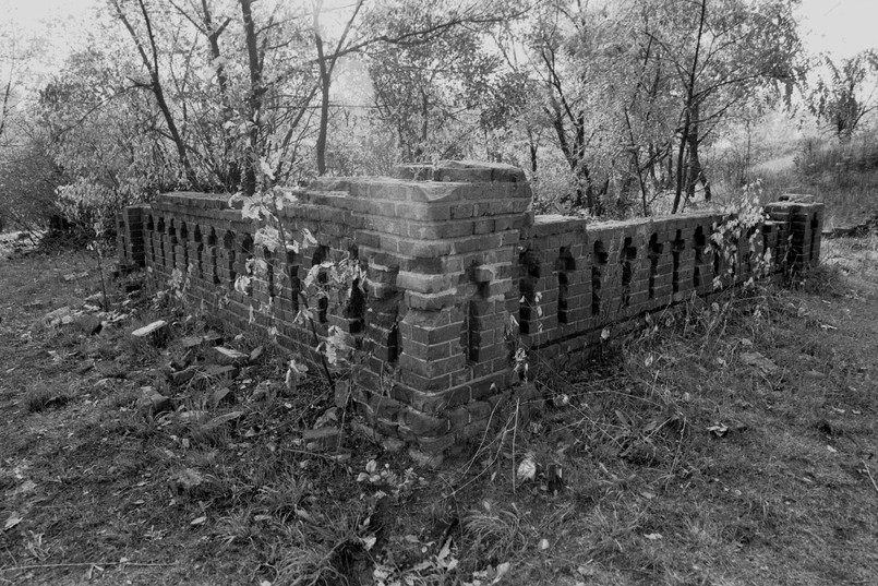 Cmentarz choleryczny na warszawskiej Pradze pierwotnie powstał po zarazie cholery jaka nawiedziła Pragę w latach 1872-1873, a umiejscowiony był na obrzeżach dzielnicy, za terenami wojskowymi.