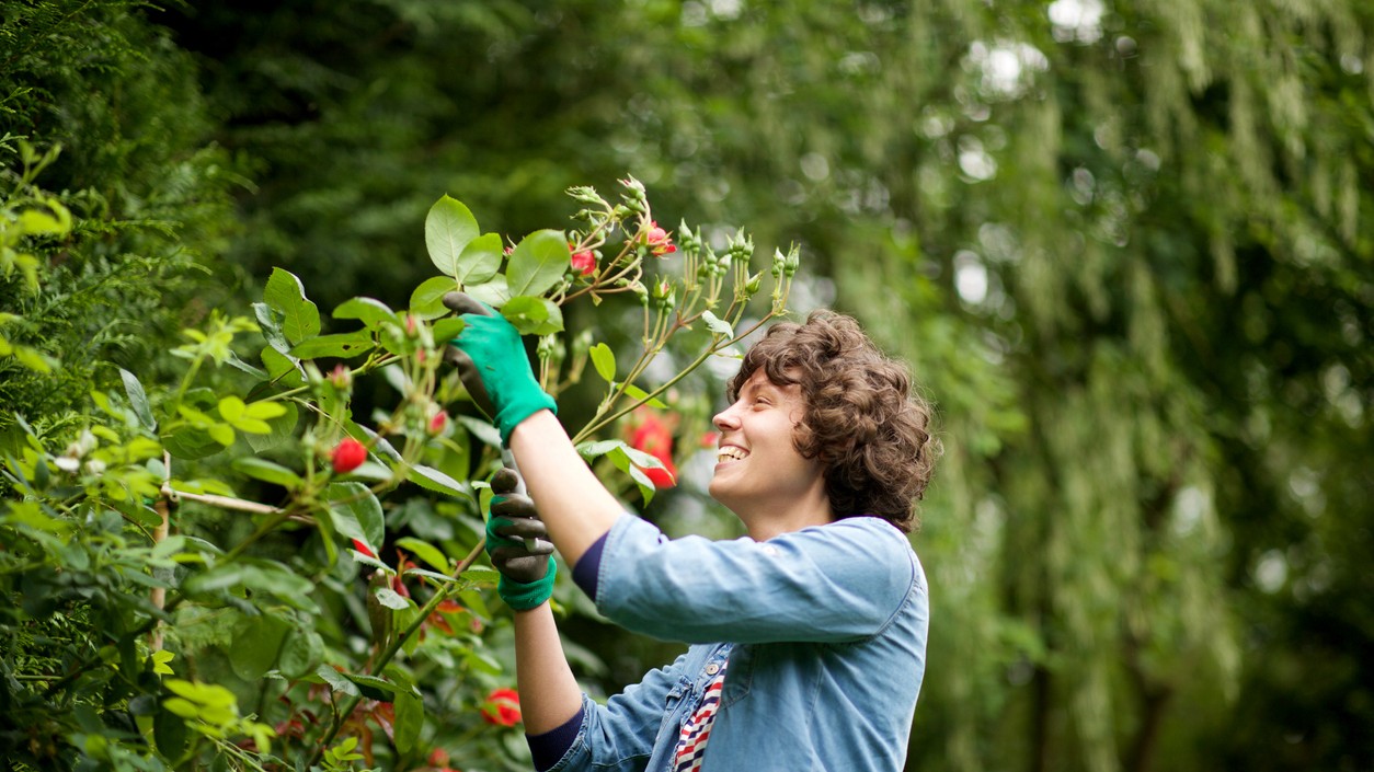 Záhradkárčenie je dokonalým spôsobom, ako vypnúť myseľ a vrátiť sa k vlastným koreňom.