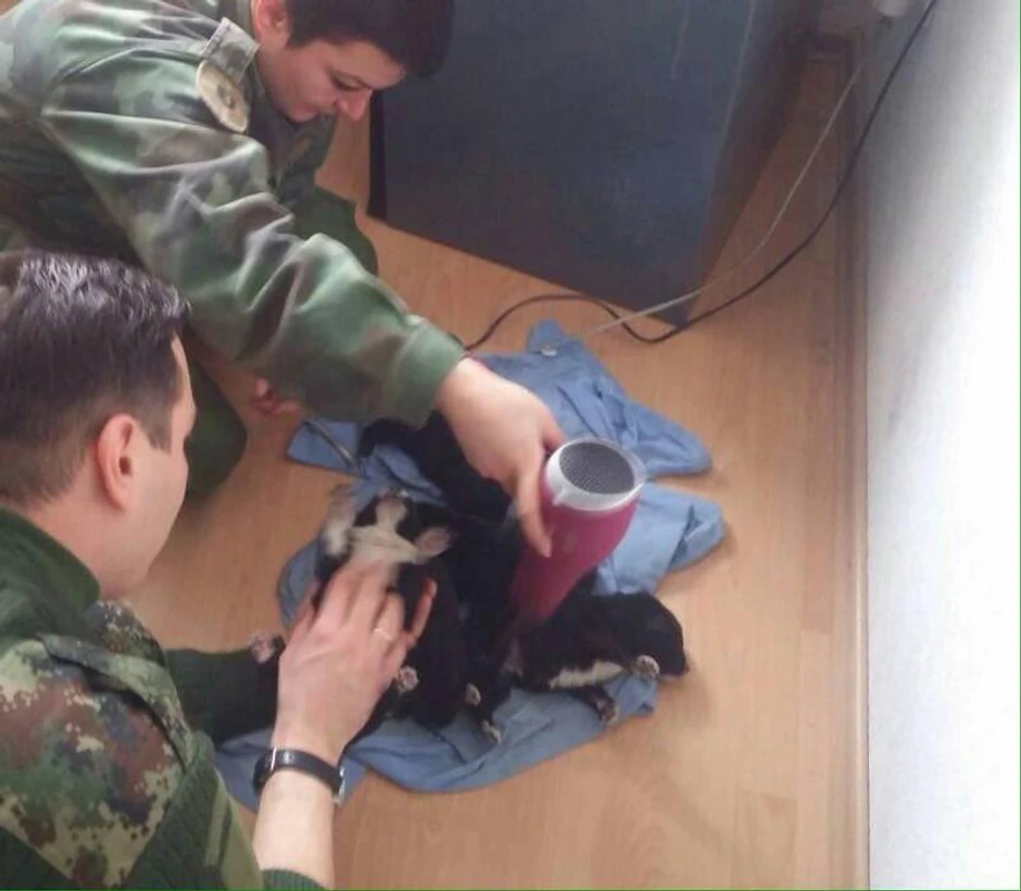 Pripadnici Vojske utopljavali štence