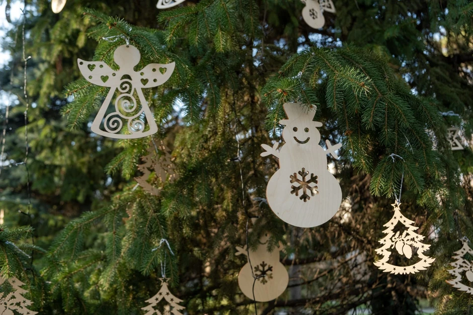 Novogodišnja humanitarna bašta