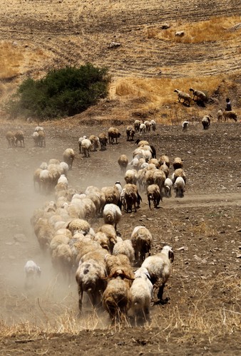 Dzieci wypędzone przez żołnierzy