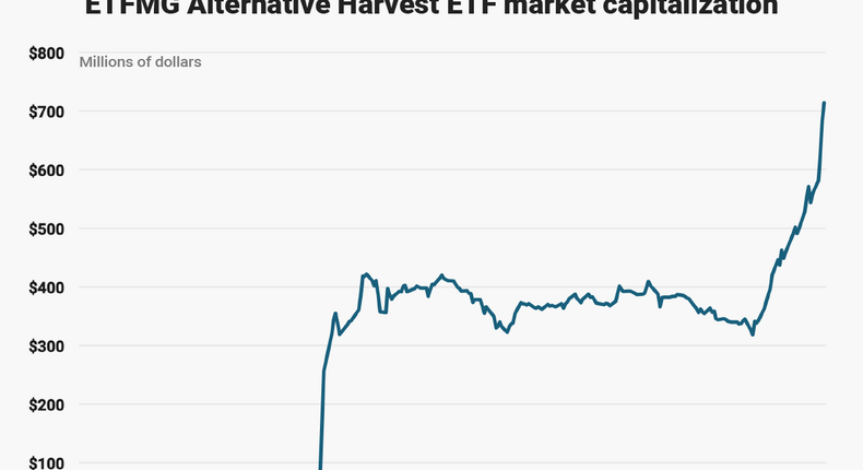 MJ's total market value has skyrocketed ten-times its original size in less than a year.