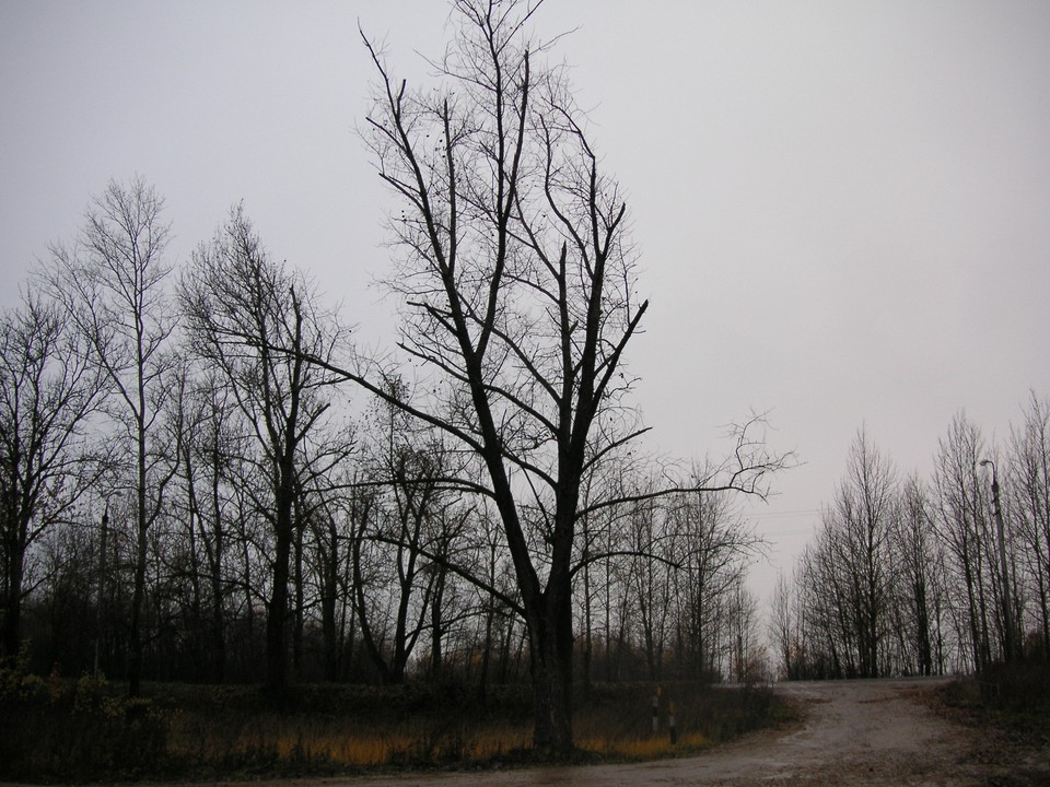 Smoleńsk, zdjęcia z 2010 roku. Fot. Marek Poznański